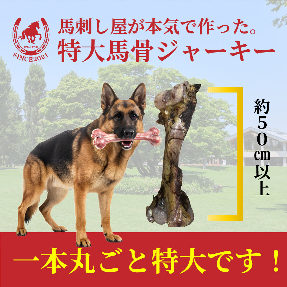 馬刺し屋が本気で作った。馬骨ジャーキー特大サイズ（大型犬用）